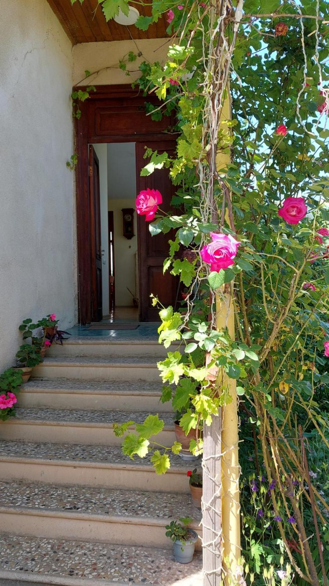 Guesthouse "Door" In Signagi Exterior foto